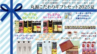 食糧補充　英語　4枚セット 4枚セット】【初版】霊気の薬瓶 DST版 日本語版